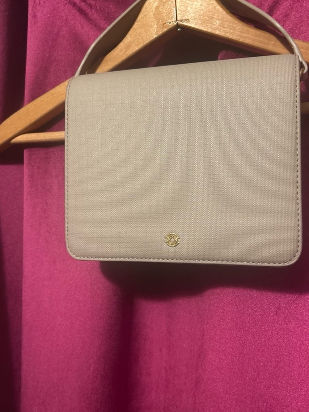 Dagne Dover Structured Crossbody in Light Taupe with Gold Accent